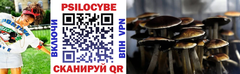 закладка  Солигалич  Псилоцибиновые грибы Psilocybine cubensis 
