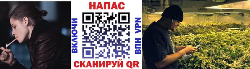 цена наркотик  ссылка на мегу ссылки  Каннабис сатива  Солигалич 